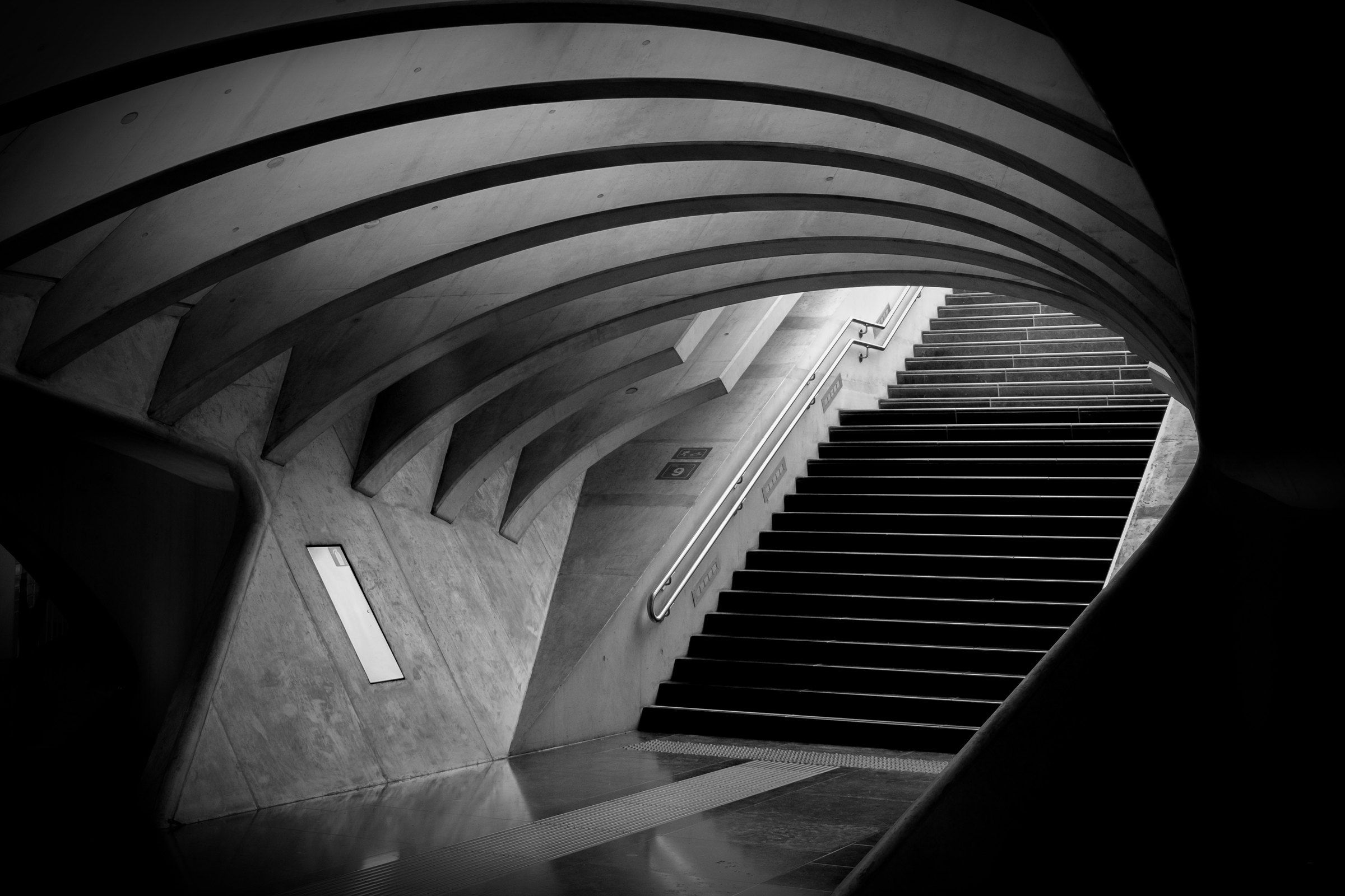 Architettura in cemento in bianco e nero: nervature curve sopra una scalinata.